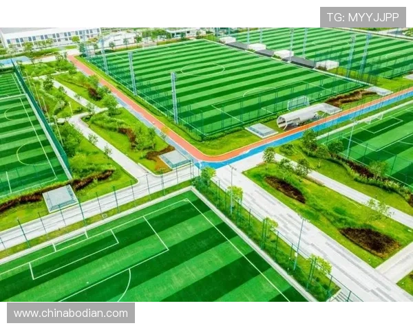 凯发足球官网首页网址官方入口更新,确保用户随时畅享足球盛宴 凯发足球官网首页网址官方入口更新,确保用户随时畅享足球盛宴