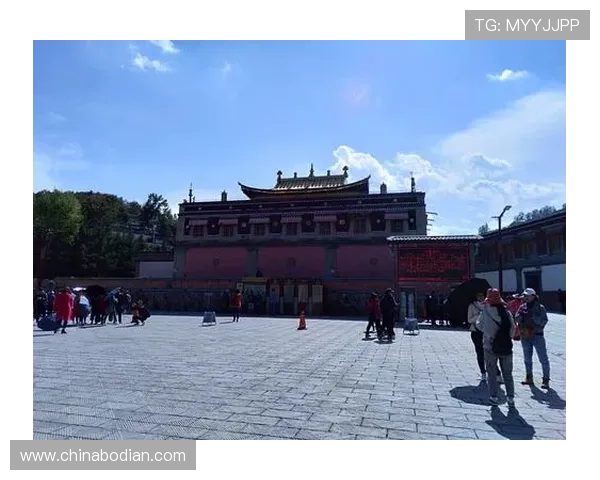 森林舞会:走进大自然,聆听树木与风的低语 森林舞会:走进大自然,聆听树木与风的低语