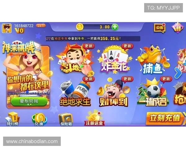 二八杠游戏大全：二八杠游戏规则详解与常见误区避免技巧全攻略