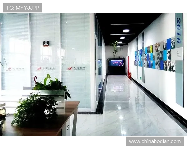 凯发k8入口网提供多种登录方式支持满足不同玩家的个性化需求