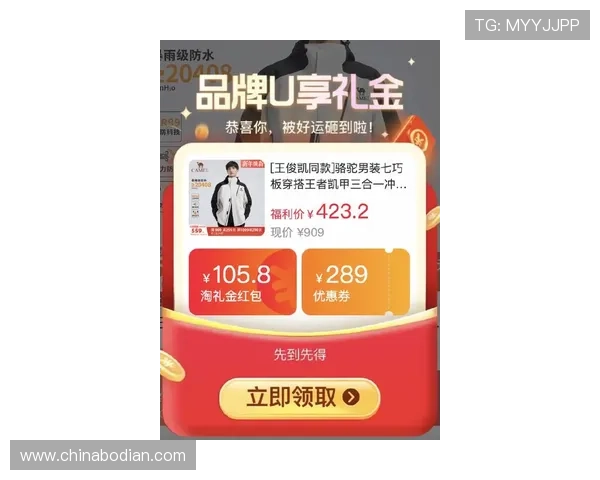 凯发登录入口最新优惠活动,丰富奖励助力玩家轻松赢取丰厚奖金