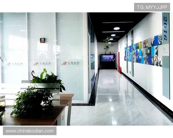 凯发旗舰厅官网首页强调平台的公平公正和透明运营，保障每位玩家的合法权益