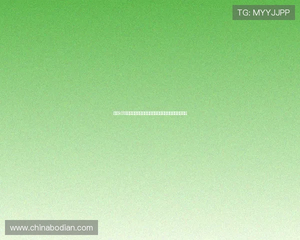 凯发k8国际登录助力全球体育迷畅享世界杯精彩赛事全方位报道